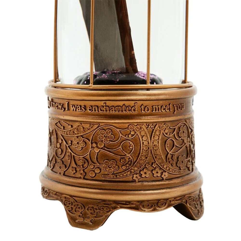 Taylor Swift Speak Now Snow Globe Taylor's Version Frame Snowglobe IN HAND Eras - Picture 4 of 6